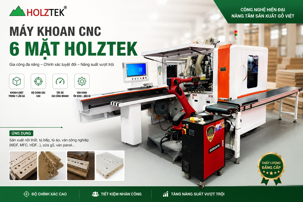 Máy khoan 6 mặt cnc Holztek