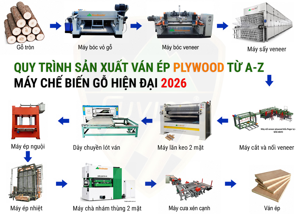 Quy trình sản xuất ván ép Plywood và các dòng máy chế biến gỗ cần thiết