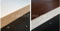 Máy Cưa Panel Saw CNC Holzkraft TECTRA 280: Độ Chính Xác Cao & Tối Ưu Vật Liệu Ván Gỗ 17831