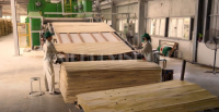 Dây Chuyền Máy Làm Ván Ép Plywood HOLZTEK: Công Nghệ Cao, Sản Xuất Veneer & Laminate 19009
