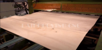 Dây Chuyền Máy Làm Ván Ép Plywood HOLZTEK: Công Nghệ Cao, Sản Xuất Veneer & Laminate 19010