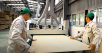 Dây Chuyền Máy Làm Ván Ép Plywood HOLZTEK: Công Nghệ Cao, Sản Xuất Veneer & Laminate 19017