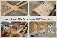 Máy Tạo Mộng Âm CNC 2 Đầu Woodmaster Cao Cấp - Tải Nặng, Lập Trình Đa Dạng Mộng 20082