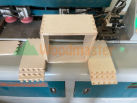 Máy Làm Mộng Mang Cá CNC 600mm Woodmaster | Chất Lượng Cao, Chính Xác 32039