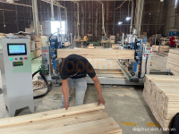 Máy Cưa Cắt Khoan Phay 2 Đầu Tự Động 2500mm - Thiết Bị Chế Biến Gỗ Cao Cấp 32100