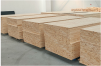 MÁY GHÉP CAO TẦN BĂNG TẢI FULL AUTO WM-2513JHF-FA Woodmaster 53482