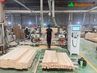 Máy Khoan Xéo 2 Đầu Tự Động Woodmater WM-200TD2 2000mm: Báo Giá & Ưu Điểm Vượt Trội 59656