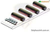 máy chà nhám chổi thùng phôi ngắn 630mm WM-630-S6BV mẫu mới 2025 (băng tải hút chân không) Woodmaster 64719