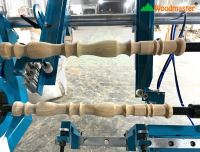 Máy Tiện Gỗ CNC 1 Trục Chà Nhám Nạp Phôi Tự Động Woodmaster: Tiết Kiệm Nhân Công Tối Đa 65304