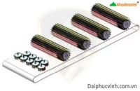 Máy Chà Nhám Chổi Thùng 6 Trục Woodmaster - Độ Chính Xác Cao 65731