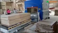 Máy Ép Cánh Cửa Laminate Tự Động 2500mm - Thiết Bị Chế Biến Gỗ Chuyên Nghiệp 65906