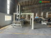 Dây Chuyền Phủ Acrylic/Laminate Full Auto Holztek: Tối Ưu Sản Xuất Gỗ 66460