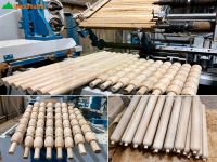 Máy tiện gỗ CNC Option 2 trục & Chà nhám chổi tự động Woodmaster 66526
