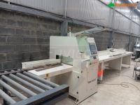 Máy cưa cắt ngang Cnc tự động khổ lớn (400MM) Woodmaster 66641