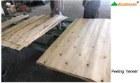 Dây Chuyền Máy Tu Bóc Plywood Tự Động Woodmaster WM-PL1300F - Giải Pháp Chế Biến Gỗ Hiện Đại 66650