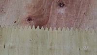 Máy Cắt Và Nối Veneer Tự Động Kiểu Finger Woodmaster 66654