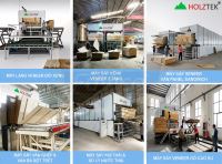 Máy Sấy Veneer Ván Lạng Plywood Holztek 100m3/Ngày HT-2800VDL40 66681