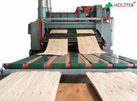 Máy sấy Veneer con lăn 3 tầng 2800mm Holztek HT-2800VDR3 chính hãng 66682