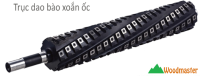 Máy Bào Thẩm 4 Tấc Dao Xoắn WM-616S Woodmaster - Hiệu Suất Vượt Trội Cho Xưởng Mộc 66802