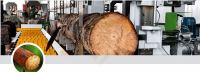 Máy Cưa CD CNC Woodmaster WM-CD600x4CNC: Giải Pháp Xẻ Gỗ Tự Động Cao Cấp 67047
