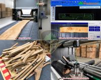 Máy chế biến gỗ Cnc phay lọng router tích hợp công nghệ AI Nesting Woodmaster 67169