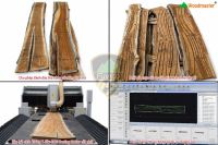 Máy Phay Lọng CNC Nesting 2 Bàn Kép AI WM-2060AI-R2D | Woodmaster 67171
