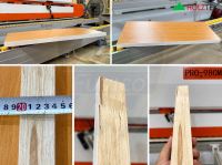Máy dán cạnh tự động cao tốc 2 nồi keo pur option đè phôi dạng dây belt PRO-980MHB Holztek 67187