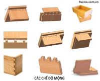 Máy phay mộng mang cá CNC WM-650CNC Woodmaster chính hãng, giá tốt 67447