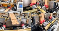 Máy phay mộng mang cá CNC WM-650CNC Woodmaster chính hãng, giá tốt 67451